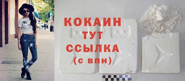 шишки Ельня