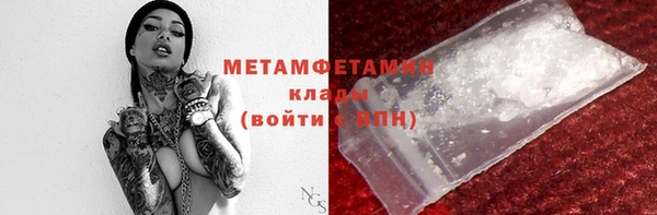шишки Ельня