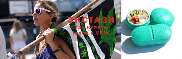 шишки Ельня
