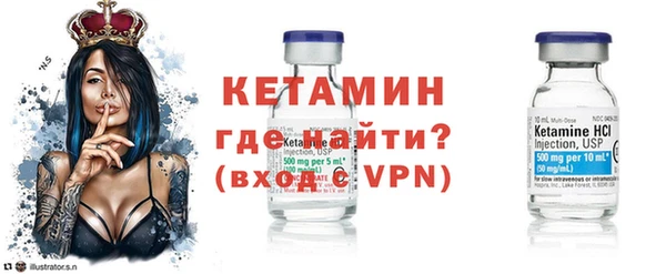шишки Ельня