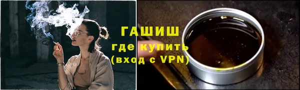 шишки Ельня