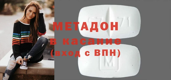 шишки Ельня