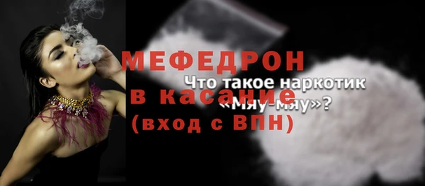 шишки Ельня
