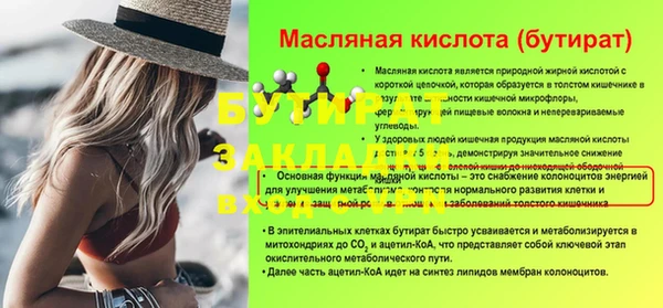 шишки Ельня