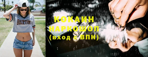 шишки Ельня