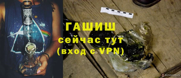 МДПВ Елизово