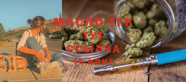шишки Ельня
