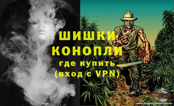 шишки Ельня
