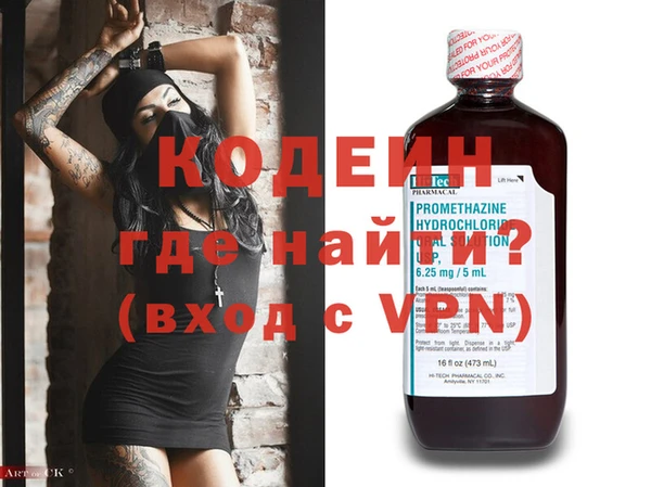 шишки Ельня