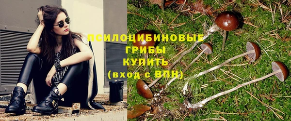шишки Ельня