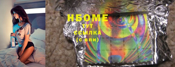 шишки Ельня