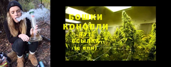 шишки Ельня