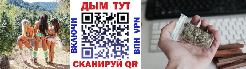 Бошки марихуана сатива Олонец