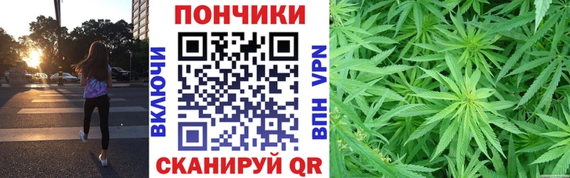 Купить закладки  Олонец  Бошки марихуана план 